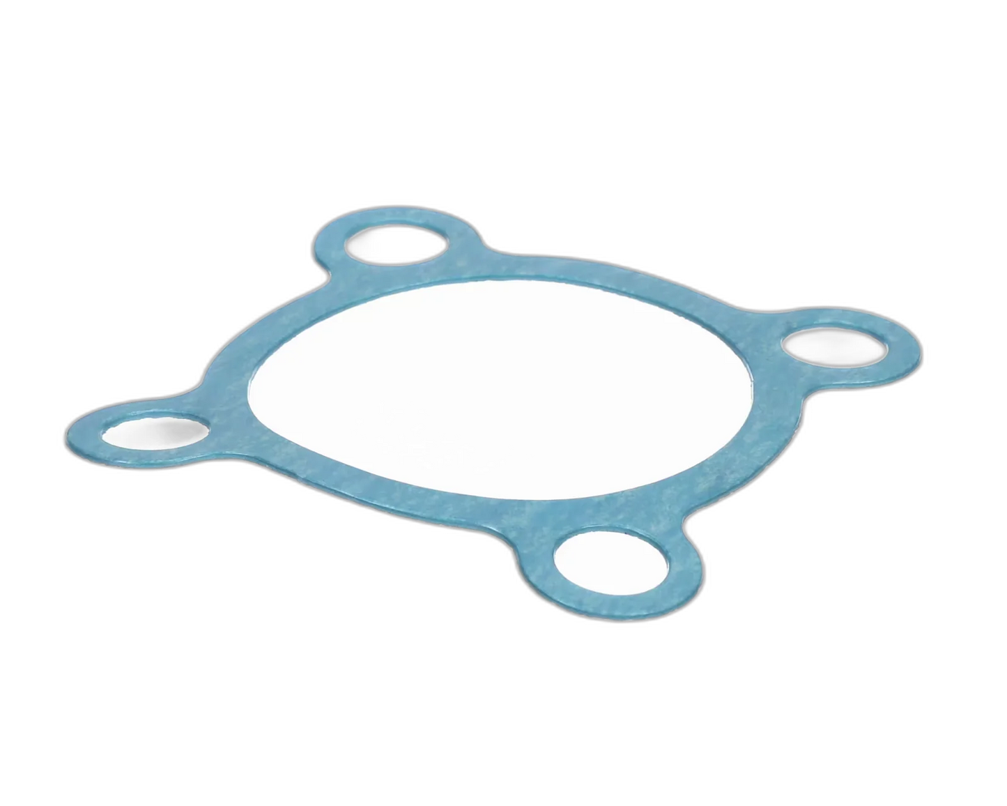 Gasket, Valve Gas Control Valve, Regulators, Flexible Gas Line